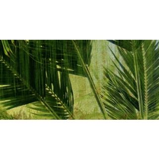 Palms Triptych Bottom Giclee 36" Wide Canvas Wall Art   #N1807