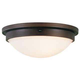 Boulevard Collection 15" Wide Ceiling Light Fixture   #12925