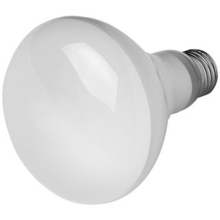 14 Watt BR 30 CFL Flood Light Bulb   #U1017