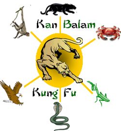 KAN Balam Kung Fu Home Study Course