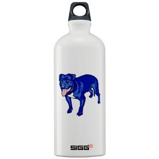 13.1 Water Bottles  Custom 13.1 SIGGs