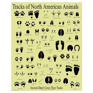 Animals Posters & Prints