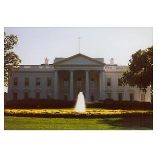 White House Posters & Prints