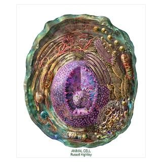 Wall Art  Posters  Animal Cell Poster