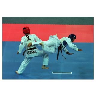 Olympic Taekwondo Posters & Prints