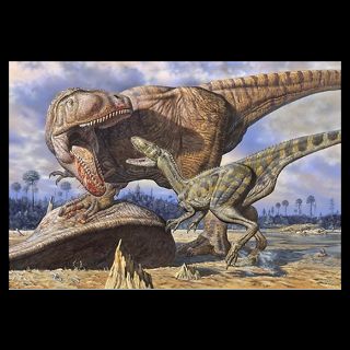 National Geographic Art Store  2011_12_14_2  Carcharodontosaurus