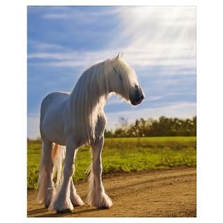 Wall Art  Posters  Big White Shire Horse Poster
