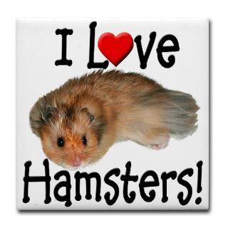 fun and furry hamsters $ 5 99 qty availability product number