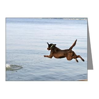  Animal Note Cards  Chocolate Lab Remi Note Cards (Pk of 10