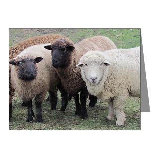 Gifts  Animals Note Cards  3 faces of sheep Note Cards (Pk of 10