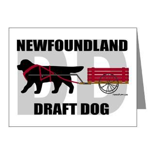 Black Newfoundland Note Cards > Draft Dog (DD) Note Cards (Pk of 20