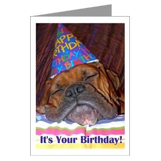 Birthday Part Dog Greeting Cards  Journey Birthday Cards (Pk of 20