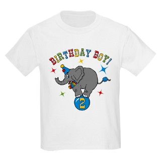 Circus Elephant 2nd Birthday Boy T Shirt by pinkinkart