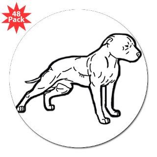 pitbull white 3 Lapel Sticker (48 pk)