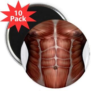 muscle chest magnet $ 3 53 muscle chest 2 25 magnet 100 pack $ 129 99