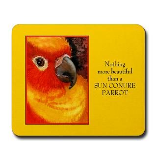 Sunny Conure Parrot  Ellen Morrow Arts Online Store