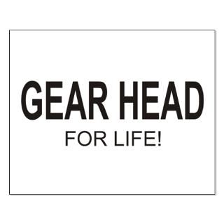 GEAR HEAD FOR LIFE  The Lower Level