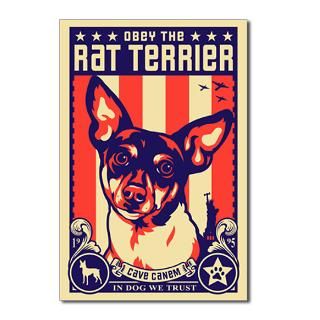 Rat Terrier : Obey the pure breed! The Dog Revolution