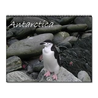 2013 Antarctica Calendar  Buy 2013 Antarctica Calendars Online