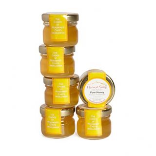 pure honey set of 6 price $ 9 94 color pure honey quantity 1 2 3 4 5
