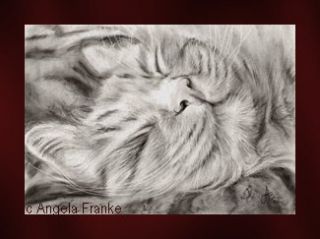 drawing charcoal Ginger cat Katze Zeichnung Portrait Bild kitten chat
