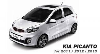 Point Carbon Decal Sticker Fit Kia 2011 2012 Picanto Morning