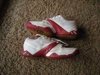 Air Zoom Feather IC Court Volleyball Shoes 9 5 41 318868 105
