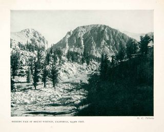 1922 Print Western Mount Whitney Sequoia National Park California USA