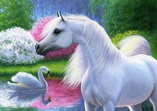 Arabian Horse Swan Spring Lake Flowers Landscape Limited Edition ACEO