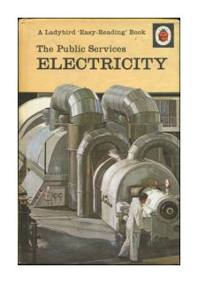 LADYBIRD   ELECTRICITY THE PUBLIC SERVICES 606E Price 24p EASY READING