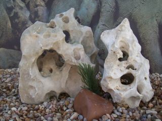 Natural Texas Holey Limestone Cichlid Aquarium Rock 34