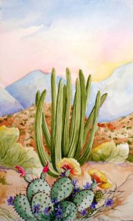 Art Organ Pipe Cactus Wildflowers Print Arizona Desert Landscape JUMP