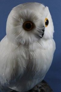 New Large Perched White Wise Hoot Owl Statue Figurine w Feathers Faux