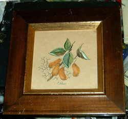 watercolor Painting by P.Adams.PEANUTS + FILBERTS Framed Rudolf Lesch