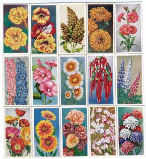 Full Set of 72 Year Old Annuals Flower Cards from 1939