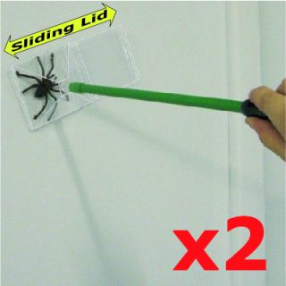  Humane Spider Bug Wasp Bee Fly Crawling Insect Trap Catcher