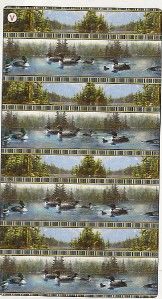 VIP Loon Lake Wildlife Border Stripe Cotton Fabric Quilting BTY