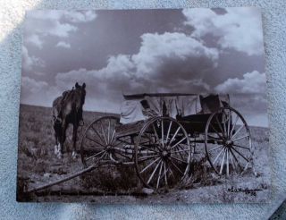Sepia Photo Old Crow Womans Burial  Lodge Grass, Mt. from original
