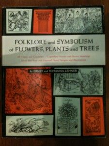 Occult Witchcraft Plant and Flower Lore Legends Illustr
