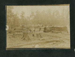 Lumber Production Workers Antique Occupational Photo