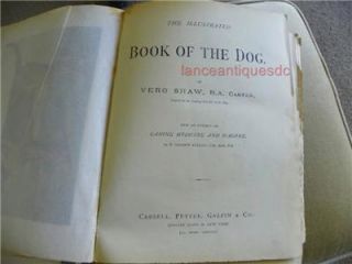 Antique 1881 Cassells Chromolithograph Vero Shaw St Bernards Dogs