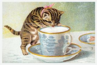 Maguire Cat Kitten Drinks frm Teacup Fabric Block Quilt