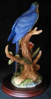 Andrea by Sadek Golden Blue Macaw Bird Sweet