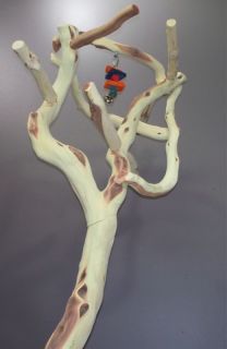 Manzanita Parrot Tree Bird Stand Toy Play Gym like Java Wood