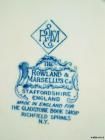 Rowland Marcellus Flow Blue Plate Richfield Springs NY