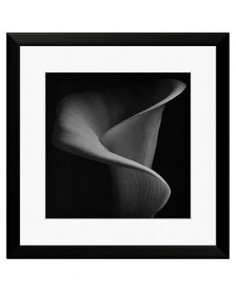 Metaverse Framed Art, Calla Lily   Wall Art   for the home
