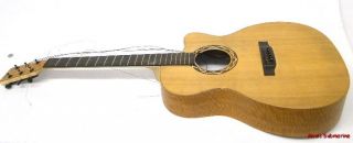 Martin Co XC1T Ellipse Acoustic Guitar for Repair