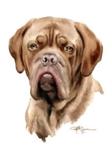 French Mastiff Watercolor Dog Art ACEO Print Signed DJR