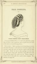 Self Instructor in The Art of Hair Work 1867 on CD