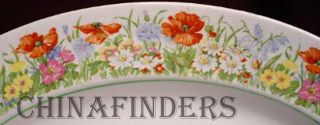 Empire England China Flanders pttrn Oval Meat Platter